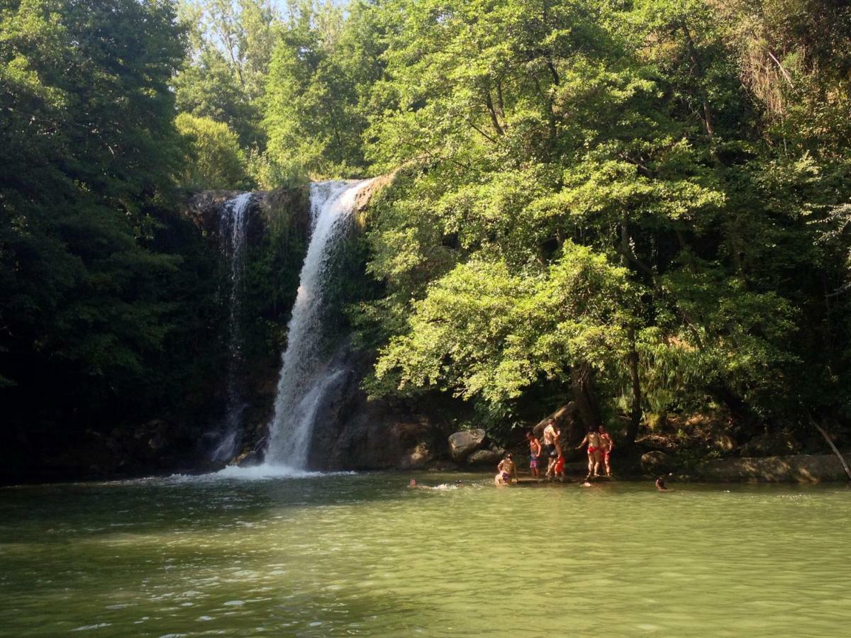 Can Nofre - Masia Familiar En Zona Tranquila Amer エクステリア 写真